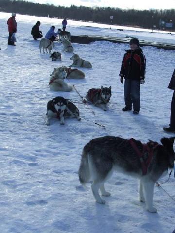 gizycko_zima_2010_03_16_013.jpg
