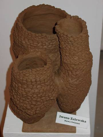kurs_ceramiki3646.jpg