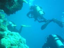 egipt_2007_036.jpg