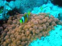 egipt_2007_039.jpg