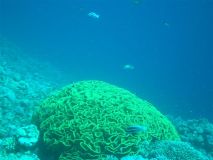 egipt_2007_041.jpg