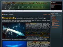 pletwal_2007.jpg
