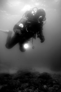 img_8161b.jpg