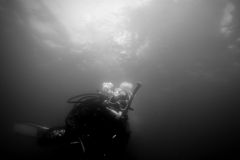 img_8168b.jpg