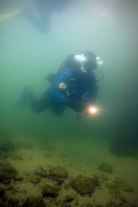 img_8180.jpg
